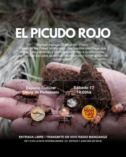 picudo-rojo-con-data-manganga